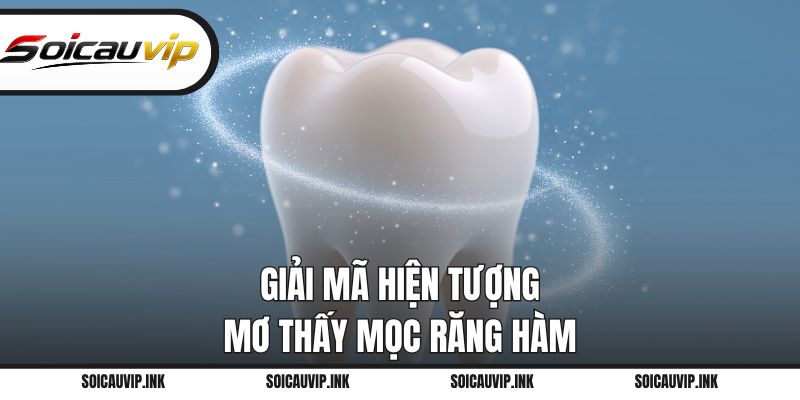 Giải mã hiện tượng mơ thấy mọc răng hàm