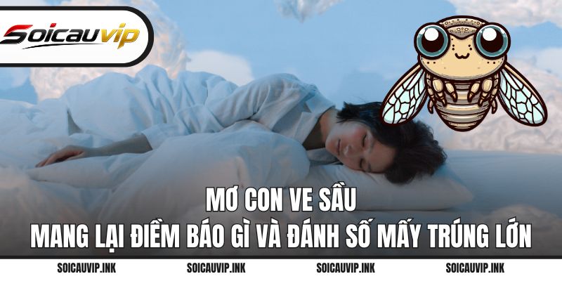 Mơ con ve sầu