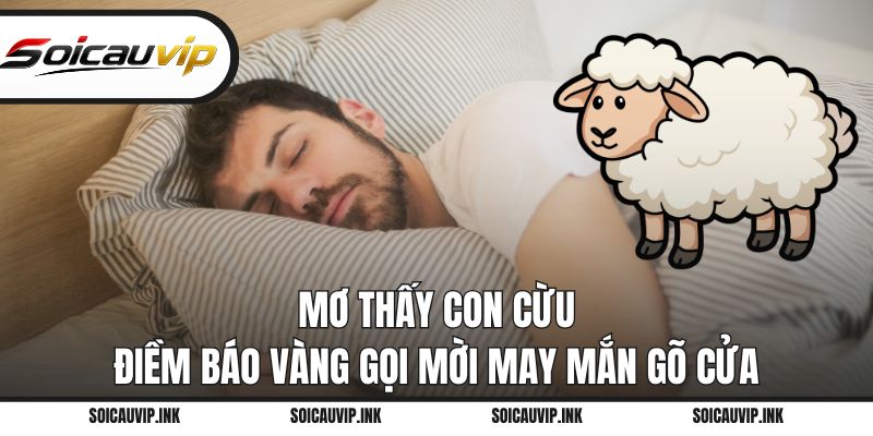 Mơ thấy con cừu