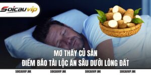 Mơ thấy củ sắn