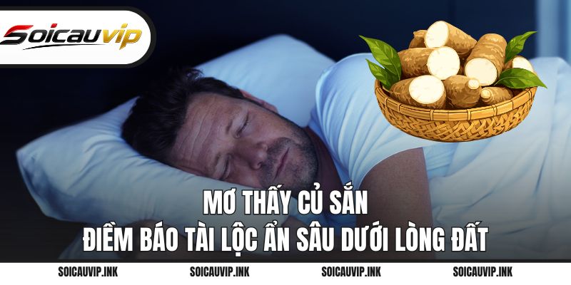 Mơ thấy củ sắn