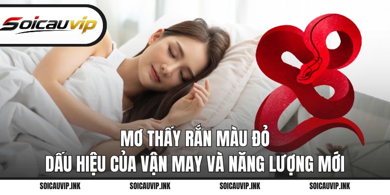 Mơ thấy rắn màu đỏ