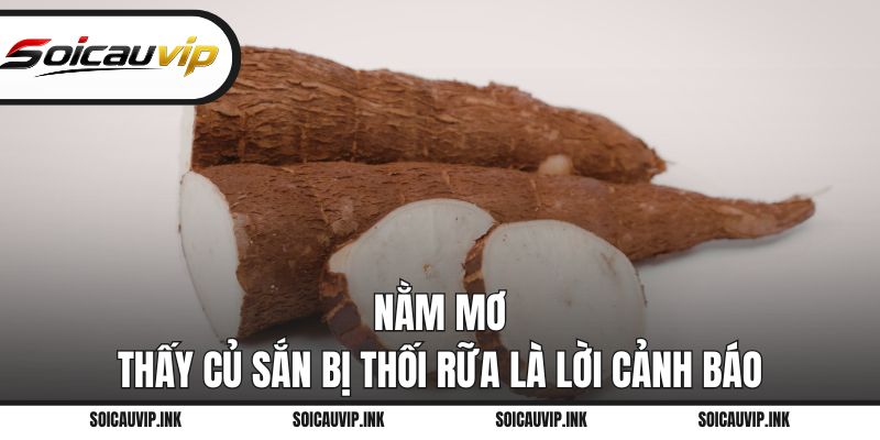 Nằm mơ thấy củ sắn bị thối rữa là lời cảnh báo