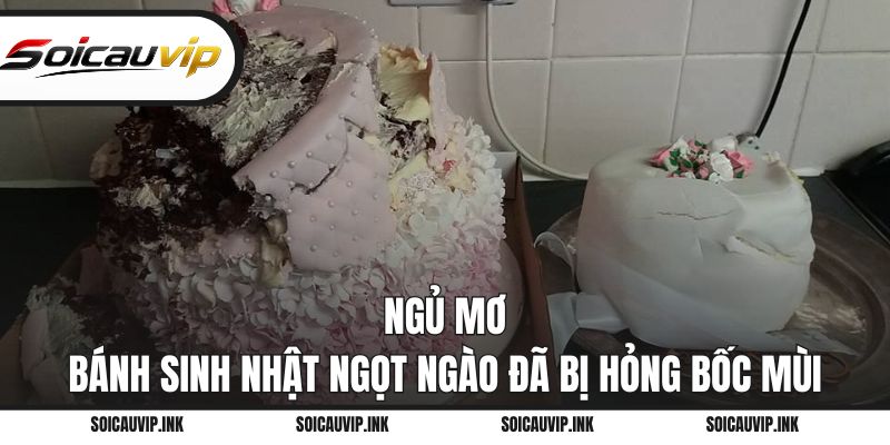 Ngủ mơ bánh sinh nhật ngọt ngào đã bị hỏng bốc mùi