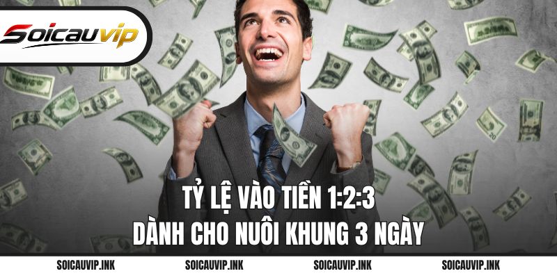 Tỷ lệ vào tiền 1:2:3 dành cho nuôi khung 3 ngày