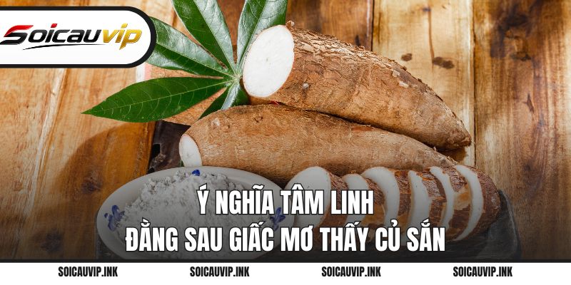 Ý nghĩa tâm linh đằng sau giấc mơ thấy củ sắn
